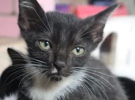 Chrisma Bed and Breakfast