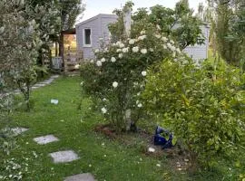 Peaceful private and semi rural