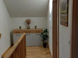 Apartmán u Dolní Moravy