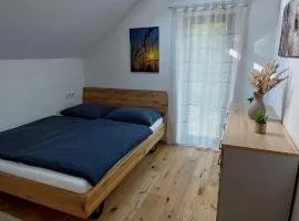 Apartmán u Dolní Moravy