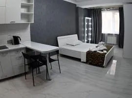 Элегантные Апартаментв 175 в сердце Города Алматы, ЖК Молодежный