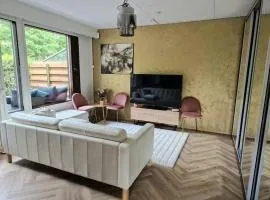 Golden apartment- parking, wifi and sauna