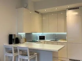 Condo Finlandia - in the heart of high culture
