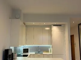 Condo Finlandia - in the heart of high culture