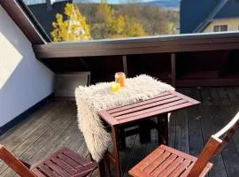 Romantische Ferienwohnung für 5 mit Hund im Erzgebirge