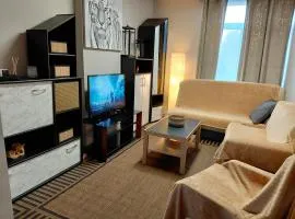 Sunny days -cozy apartment