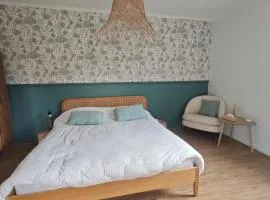 Grande chambre cosy très proche centre ville