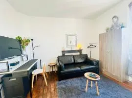 T1 cosy bien équipé, wifi, centre d'Angers avec Vayny