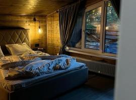 Vilighouse, khách sạn ở Ibăneşti