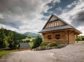 Chaty v R&aacute;ztoke, chalet in Veľk&eacute; Borov&eacute;