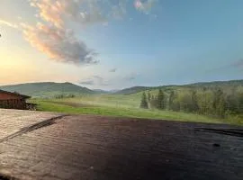 Лісовий Затишок