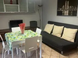 Humanitas, Forum center Milano Trilo with Terrazzo