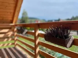 Domek pod wyciągiem, Tylicz