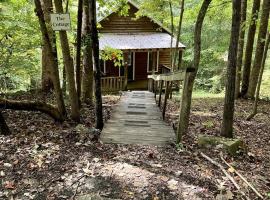 Secluded Woodland Cabin Rental with Hot Tub in Yadkin Valley Wine Region, hotel in Elkin