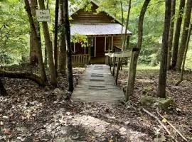 Secluded Woodland Cabin Rental with Hot Tub in Yadkin Valley Wine Region