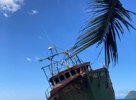 Dominica Seaside Beaches & Attractions Tour