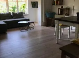 Gemütliche grosse 2 Zimmer Wohnung mit grosser Terasse in Seenähe, Höristrasse 8 in 78343 Gaienhofen