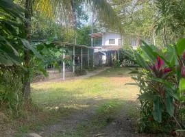 Green Forest Uvita River