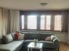 Apartamento en el centro de rorschach