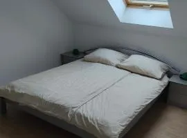 Grüne Auszeit Dresden