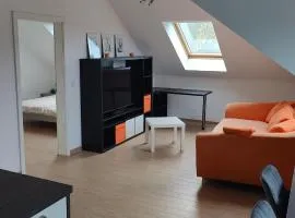 Grüne Auszeit Dresden