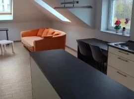 Grüne Auszeit Dresden