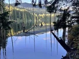 The Owls Nest at Westwood Lake