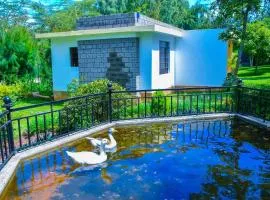 Ngong Hills garden cottages by organic farm - 2340