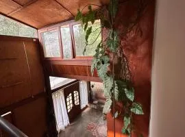 Maravilhosa Casa da Floresta