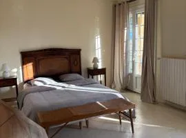 Le Mas des Vignes en Drome provençale