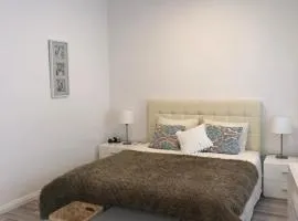 One-bedroom apartment in the city center