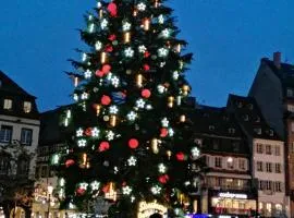 Hébergement 4 personnes proche centre ville Strasbourg