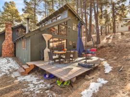 Enchanted Forest Super Cozy Cabin on 2 Acres Sledding Hills Tree Swing Pool Table, hotel di Mountainaire