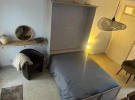 Six Duplex à la montagne POMPIERY