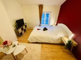 Studio rubis - Proche centre-ville - Saint-Etienne