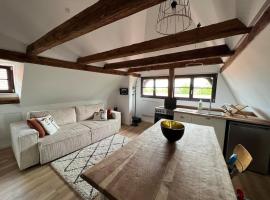 Sous un toit de Sélestat, hotel in Sélestat