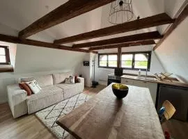 Sous un toit de Sélestat