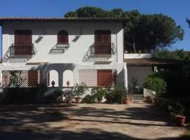 Casa Vacanze Arenella