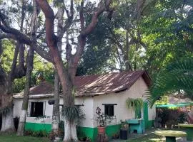 El Aguacatal