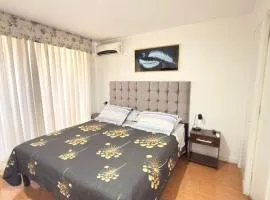 Deptos amoblados providencia