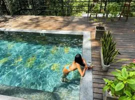 Rincon de la Sierra Minca