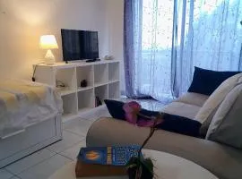 Los Llanos Ocean view