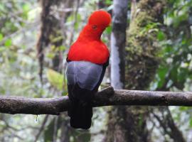 Natural Luxury Birding Lodge