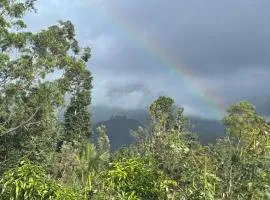 Ella Morning Sunshine