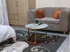 Modern studio apartment juja