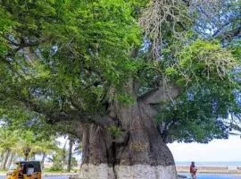 Majunga village touristique