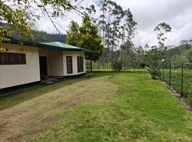 Watawala Tea Garden