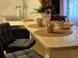 Elegantia Domina apartment in the center