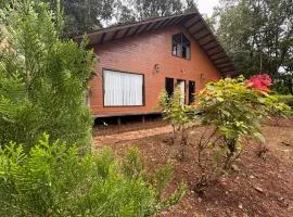 Dharti - Soil Stories