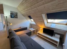 Immodelpas Consuegra 2